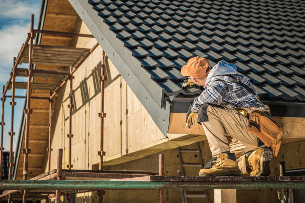 Best Roof Moss and Algae Removal  in Philippi, WV
