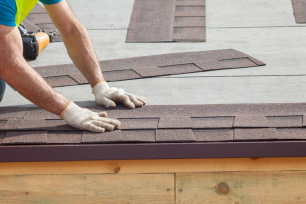 Best Skylight Installation and Repair  in Philippi, WV